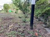 雑草刈り アフター