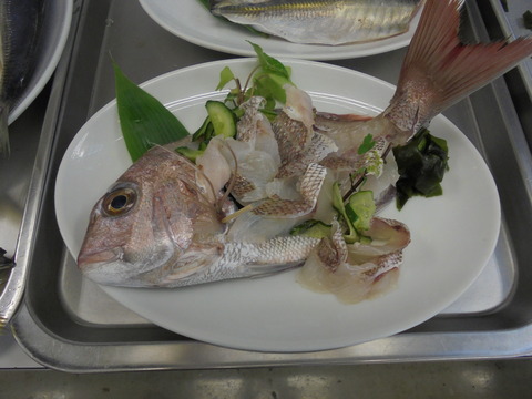 鯛の姿づくり
