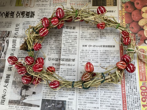 オキナワスズメウリ