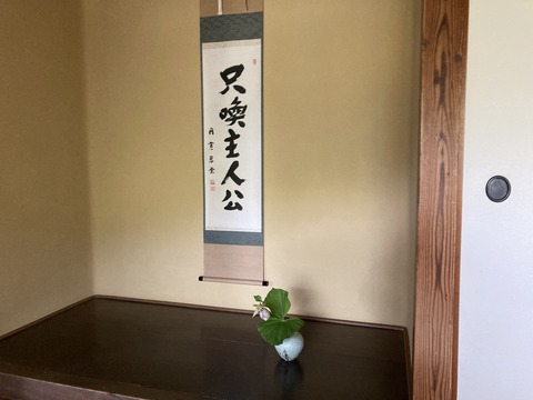 クマガイ草と掛け軸
