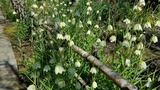 20170328_103928