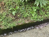 駐車場にも