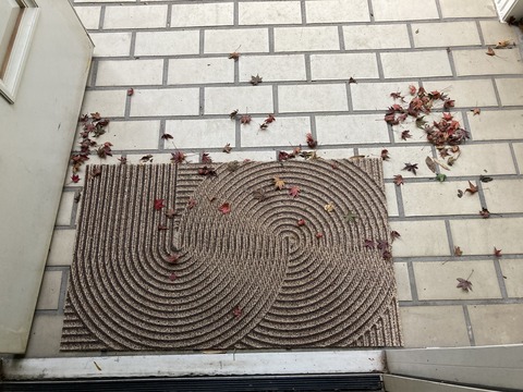 カエデの落ち葉