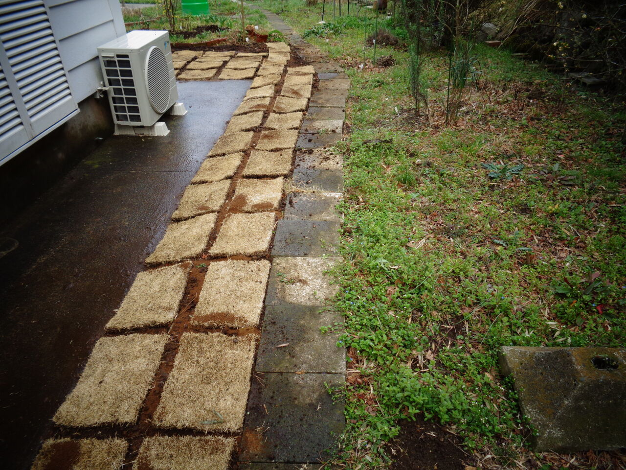 芝生再生 やっちゃんの珈琲たいむ