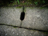 側溝の蓋の水の流れ道