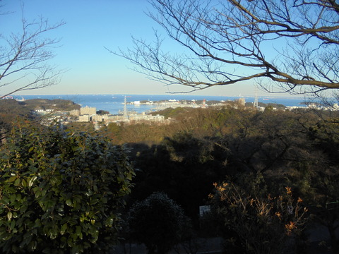 塚山公園から横須賀港を見る