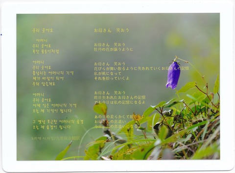 ノミエさんの詩