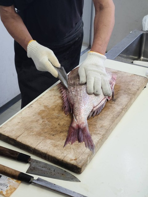 天然物の鯛をひらく