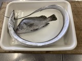 太刀魚とコショウ鯛