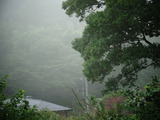 朝霧