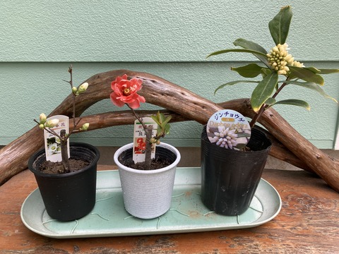 3種が仲間入り