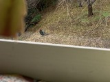 警戒しながら