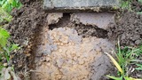 土竜の地下道