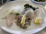 マダラの刺身
