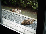 休憩中