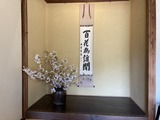 お茶お稽古で