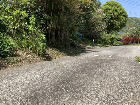 カエデをお送るために