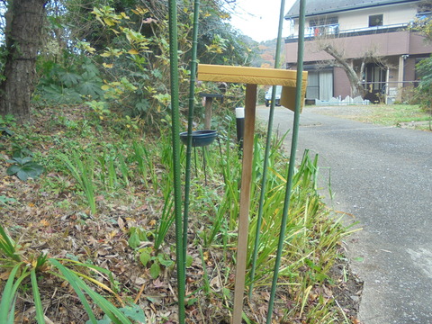 小鳥のレストランデニーズ