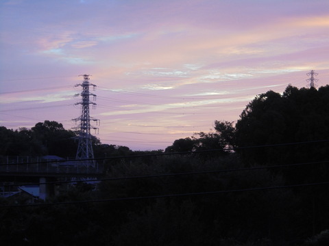 台風一過の次の日