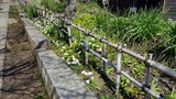 龍隠庵への道