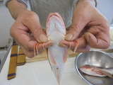 ほうぼうには足がある