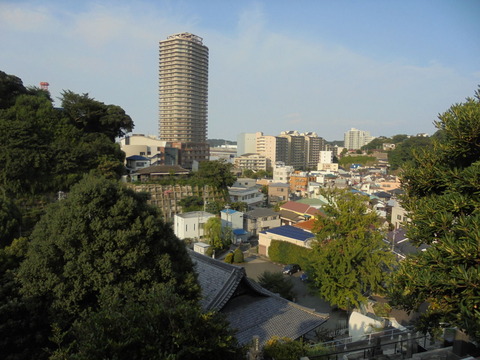 お墓から横須賀港を望む