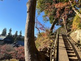 龍隠庵の階段（星野恵子さん提供）
