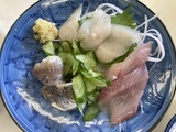 イナダ、マゴチ、豆アジの刺身