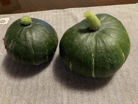 腐らないうちに