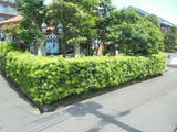 小田原澤亭