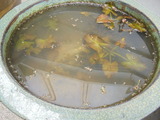 睡蓮鉢