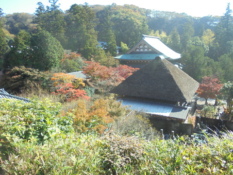 龍隠庵から