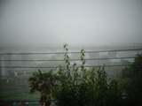 朝霧