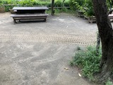 庭にキャタピラの跡