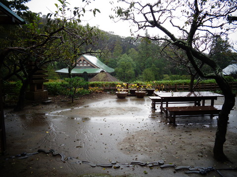 雨の龍隠庵