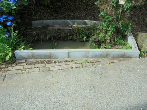 池の周りをガード