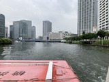 シーバスから