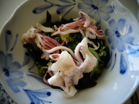 わかめとヤリイカの酢の物