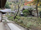 座禅道場居士林も完成まじか