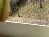 警戒しながら