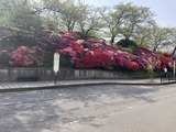バス停前