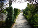 病院の隣の公園