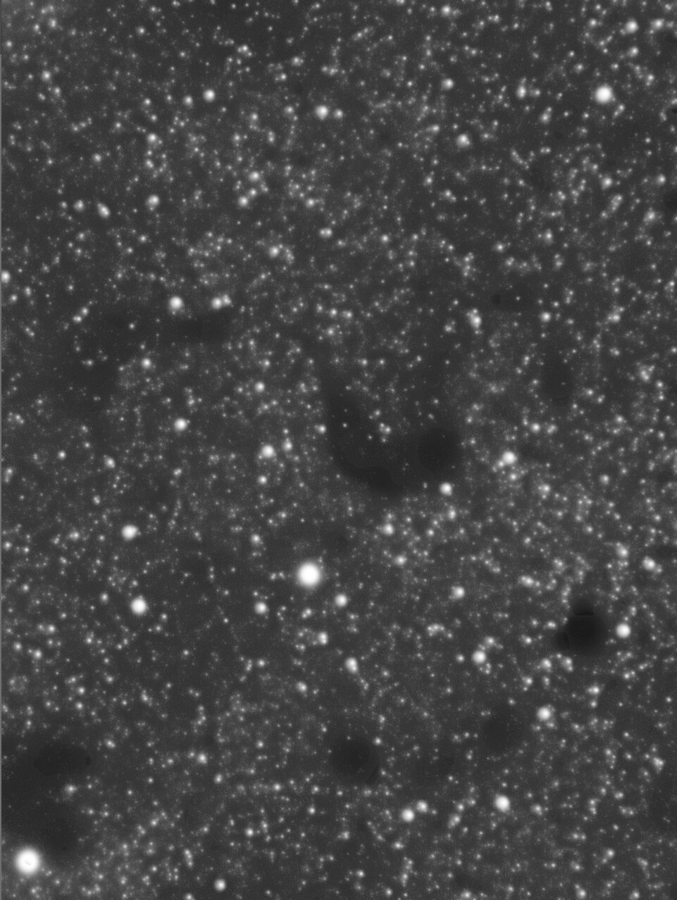 IR640でB72”S字暗黒星雲”を撮る。 : ベランダ天体観測の記録