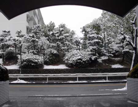 snow1102_1