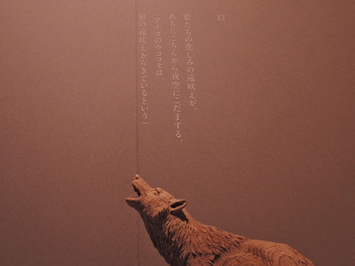 DSCN9844