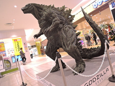 DSCN9251
