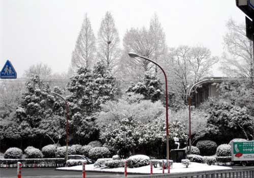 snow1102_2