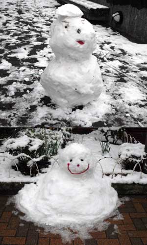 snow1102_daruma
