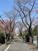 IMG_3572