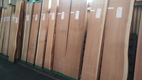 KIMG6151